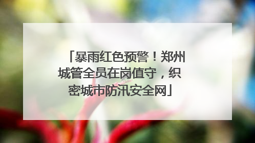 暴雨红色预警！郑州城管全员在岗值守，织密城市防汛安全网