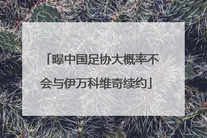 曝中国足协大概率不会与伊万科维奇续约
