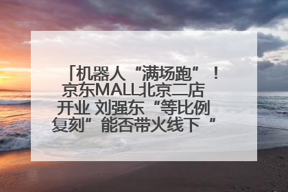 机器人“满场跑”！京东MALL北京二店开业 刘强东“等比例复刻”能否带火线下“618”？