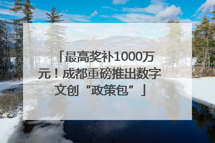 最高奖补1000万元！成都重磅推出数字文创“政策包”