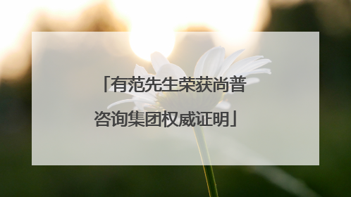 有范先生荣获尚普咨询集团权威证明