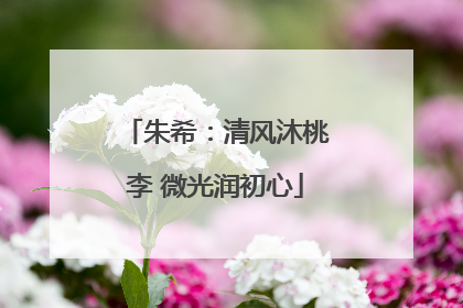 朱希：清风沐桃李 微光润初心
