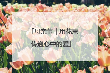 母亲节｜用花束传递心中的爱