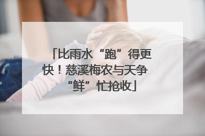 比雨水“跑”得更快！慈溪梅农与天争“鲜”忙抢收