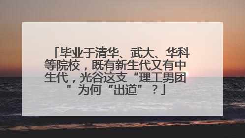 毕业于清华、武大、华科等院校，既有新生代又有中生代，光谷这支“理工男团”为何“出道”？