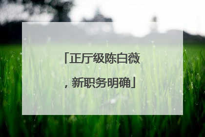 正厅级陈白薇，新职务明确