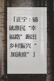 正宁：铺就惠民“幸福路”跑出乡村振兴“加速度”