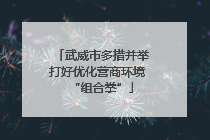 武威市多措并举打好优化营商环境“组合拳”