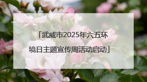 武威市2025年六五环境日主题宣传周活动启动