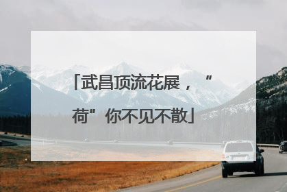 武昌顶流花展，“荷”你不见不散