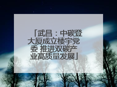 武昌：中碳登大厦成立楼宇党委 推进双碳产业高质量发展