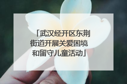 武汉经开区东荆街道开展关爱困境和留守儿童活动