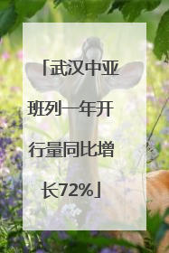 武汉中亚班列一年开行量同比增长72%