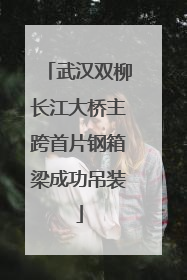 武汉双柳长江大桥主跨首片钢箱梁成功吊装