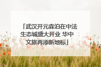 武汉开元森泊在中法生态城盛大开业 华中文旅再添新地标