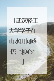 武汉轻工大学学子在山水田间感悟“粮心”