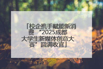 校企携手赋能新消费 “2025成都大学生新媒体创意大赛”圆满收官