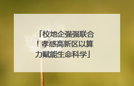 校地企强强联合！孝感高新区以算力赋能生命科学