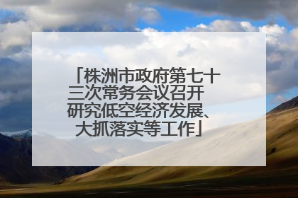 株洲市政府第七十三次常务会议召开 研究低空经济发展、大抓落实等工作