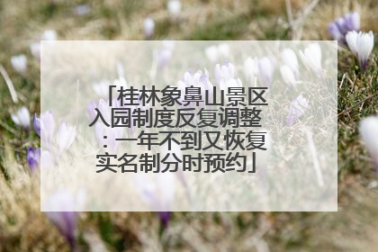 桂林象鼻山景区入园制度反复调整：一年不到又恢复实名制分时预约