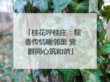 桂花坪桂庄：粽香传情暖邻里 党群同心筑和谐