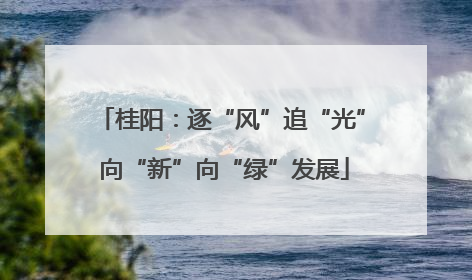 桂阳：逐“风”追“光” 向“新”向“绿”发展