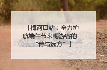 梅河口站：全力护航端午节来梅游客的“诗与远方”