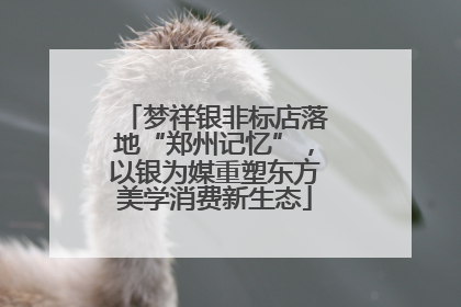 梦祥银非标店落地“郑州记忆”，以银为媒重塑东方美学消费新生态