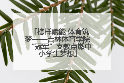 榜样赋能 体育筑梦——吉林体育学院“冠军”支教点燃中小学生梦想