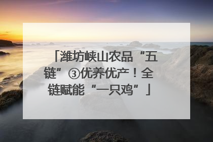 潍坊峡山农品“五链”③优养优产！全链赋能“一只鸡”