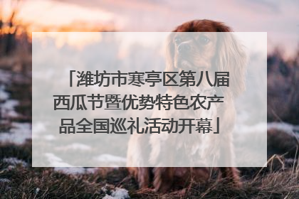 潍坊市寒亭区第八届西瓜节暨优势特色农产品全国巡礼活动开幕