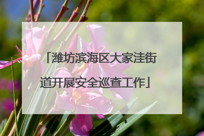 潍坊滨海区大家洼街道开展安全巡查工作