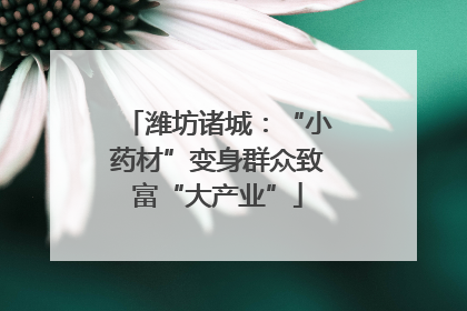 潍坊诸城：“小药材”变身群众致富“大产业”