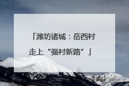 潍坊诸城：岳西村走上“强村新路”