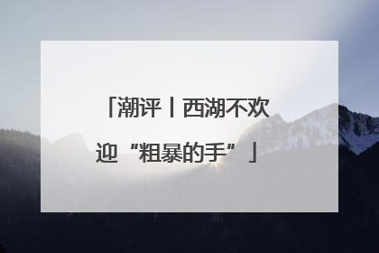 潮评丨西湖不欢迎“粗暴的手”