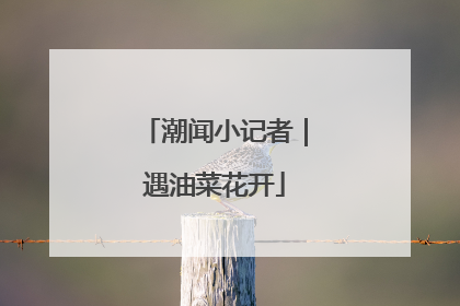 潮闻小记者｜遇油菜花开