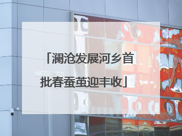 澜沧发展河乡首批春蚕茧迎丰收