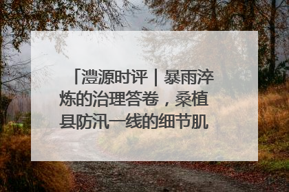 澧源时评｜暴雨淬炼的治理答卷，桑植县防汛一线的细节肌理与体系力量