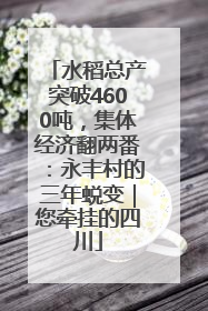 水稻总产突破4600吨，集体经济翻两番：永丰村的三年蜕变｜您牵挂的四川