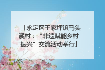 永定区王家坪镇马头溪村：“非遗赋能乡村振兴”交流活动举行