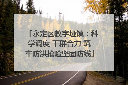 永定区教字垭镇：科学调度 干群合力 筑牢防洪抢险坚固防线