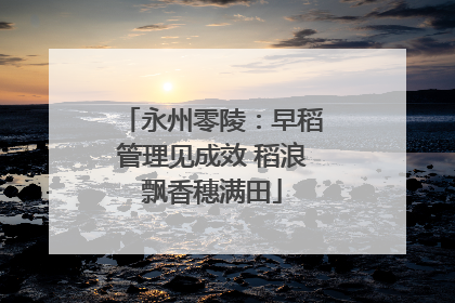 永州零陵：早稻管理见成效 稻浪飘香穗满田