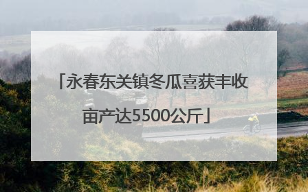 永春东关镇冬瓜喜获丰收 亩产达5500公斤