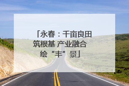 永春：千亩良田筑根基 产业融合绘“丰”景