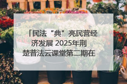 民法“典”亮民营经济发展 2025年荆楚普法云课堂第二期在武汉客厅开讲