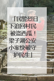 民警烈日下追回村民被盗西瓜！梁子湖公安小案快破守护民生