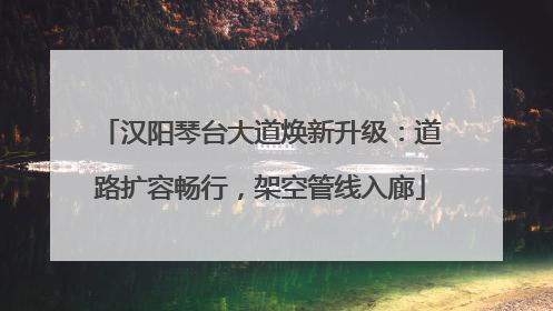 汉阳琴台大道焕新升级：道路扩容畅行，架空管线入廊
