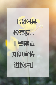汝阳县检察院：干警禁毒知识宣传进校园