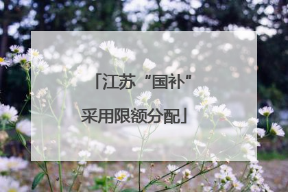 江苏“国补”采用限额分配