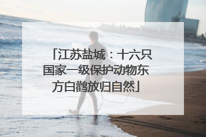 江苏盐城：十六只国家一级保护动物东方白鹳放归自然
